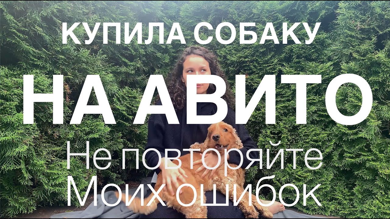 КУПИЛА СОБАКУ НА АВИТО! ОЖИДАНИЕ vs РЕАЛЬНОСТЬ! Не повторяйте моих ошибок