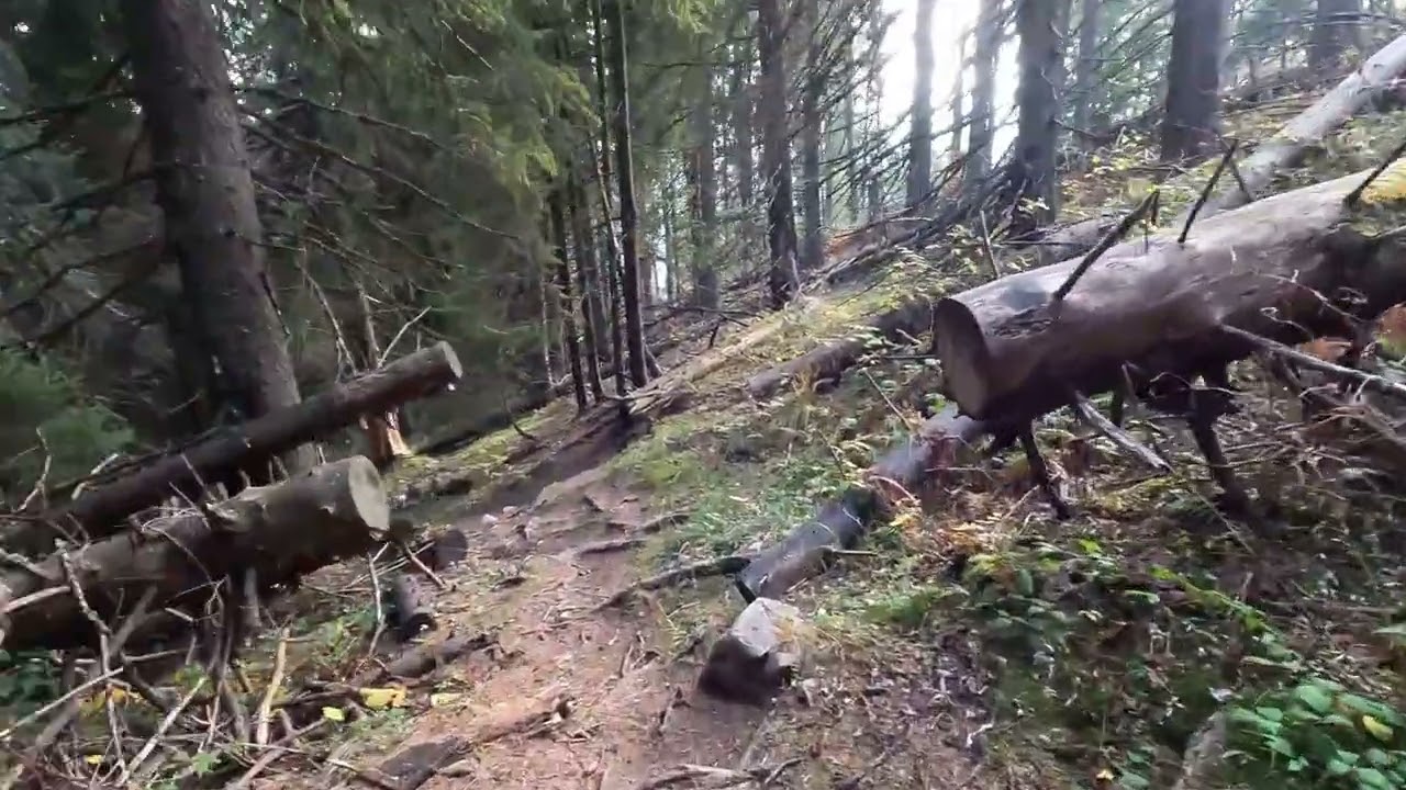 V22 Traseu circuit Piatra Mare.  Ep.6 Coada Pietrei Mari - Saua Pietricica
