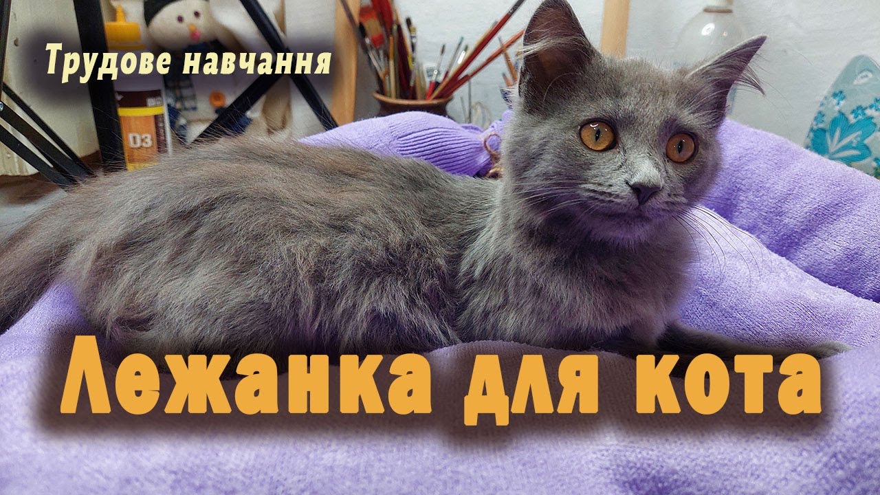 Трудове навчання 6 клас. Лежанка для кота. Нове життя старим речам.