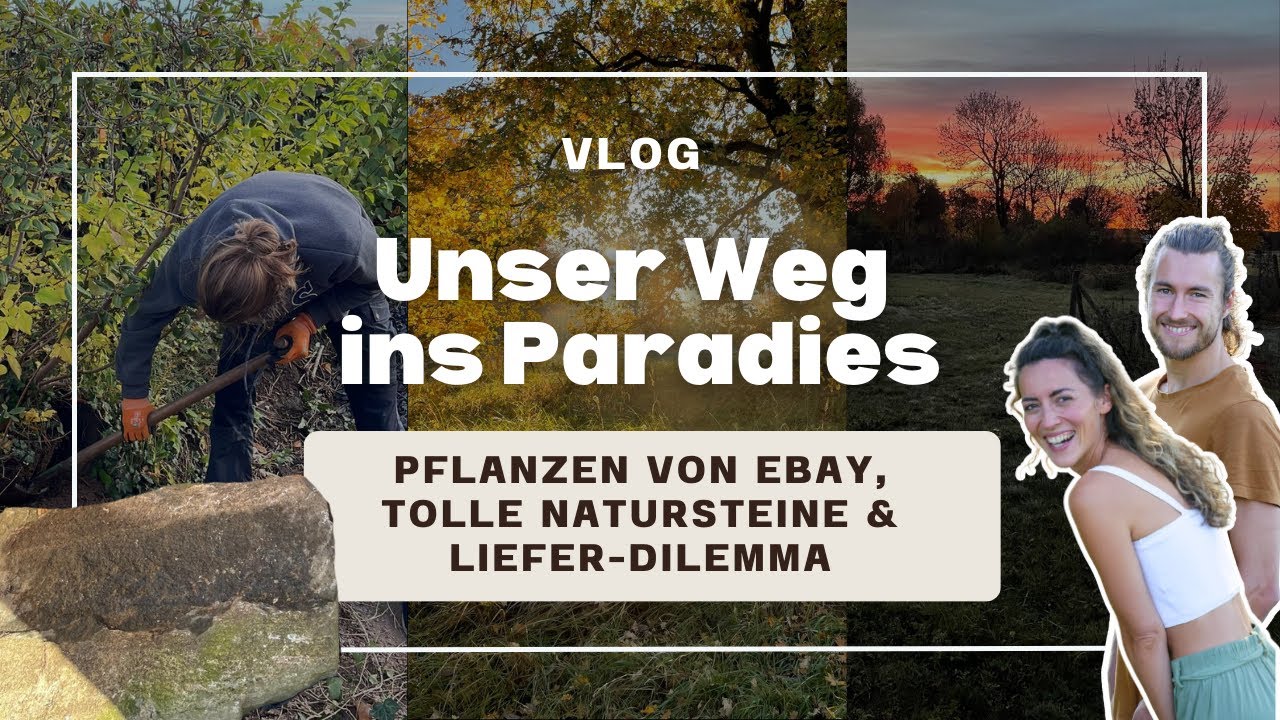#3 | VLOG Pflanzen und Natursteine über Ebay ergattert, Lieferprobleme etc.