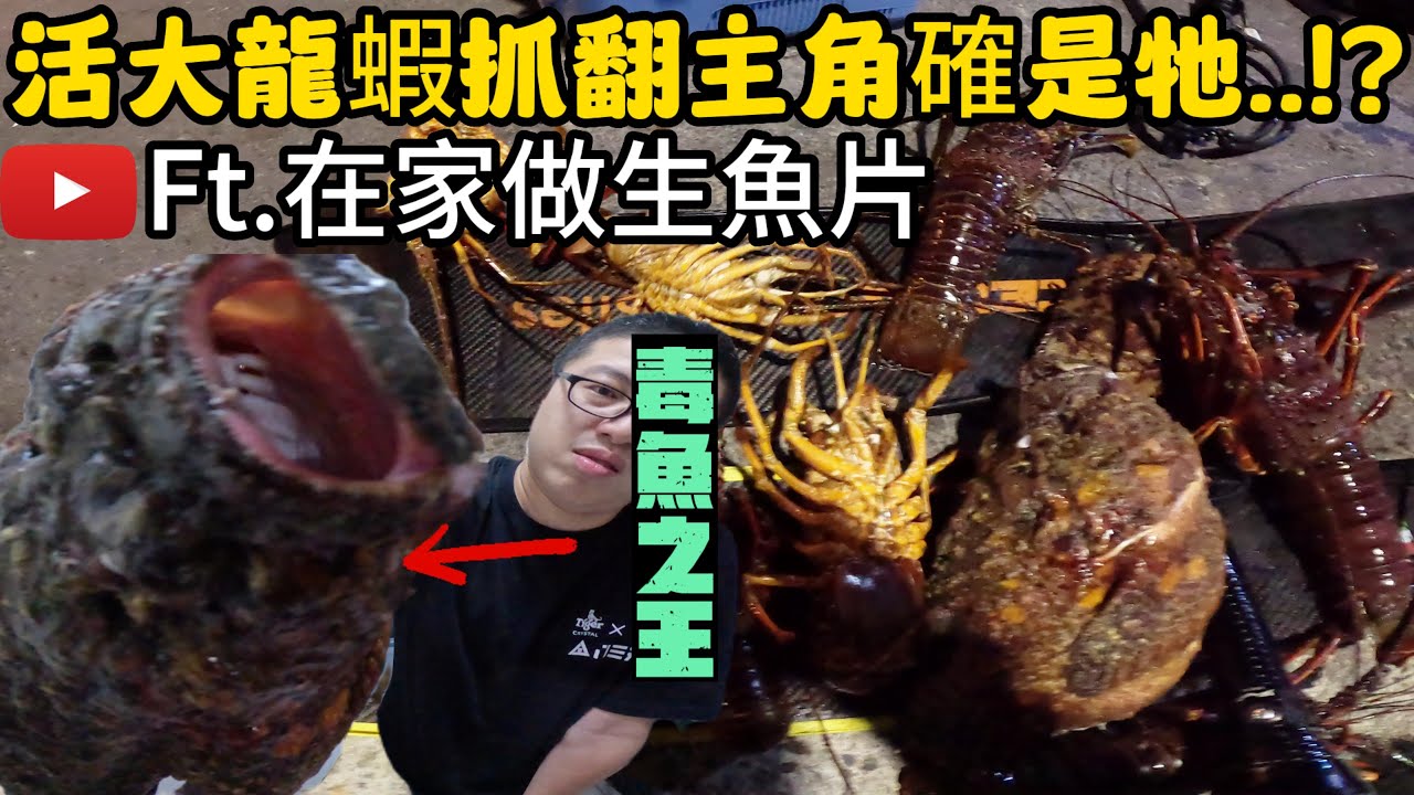 《自由潛水趕海》接到 @在家做生魚片   的活龍蝦任務 不丟臉整晚龍蝦抓翻爆桶但竟然遇到傳說超稀有毒魚比眼鏡王蛇還毒!!!#抓海鲜 #趕海 #打魚 #料理 #自由潛水 #釣魚