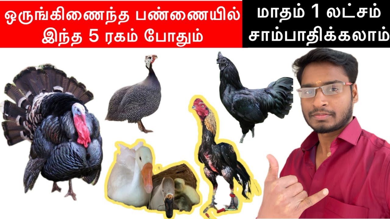 ஒருங்கிணைந்த பண்ணையில் மாதம் 50000 சம்பாதிக்கலாம் @easywaytobusiness #farmingbusinessideas 