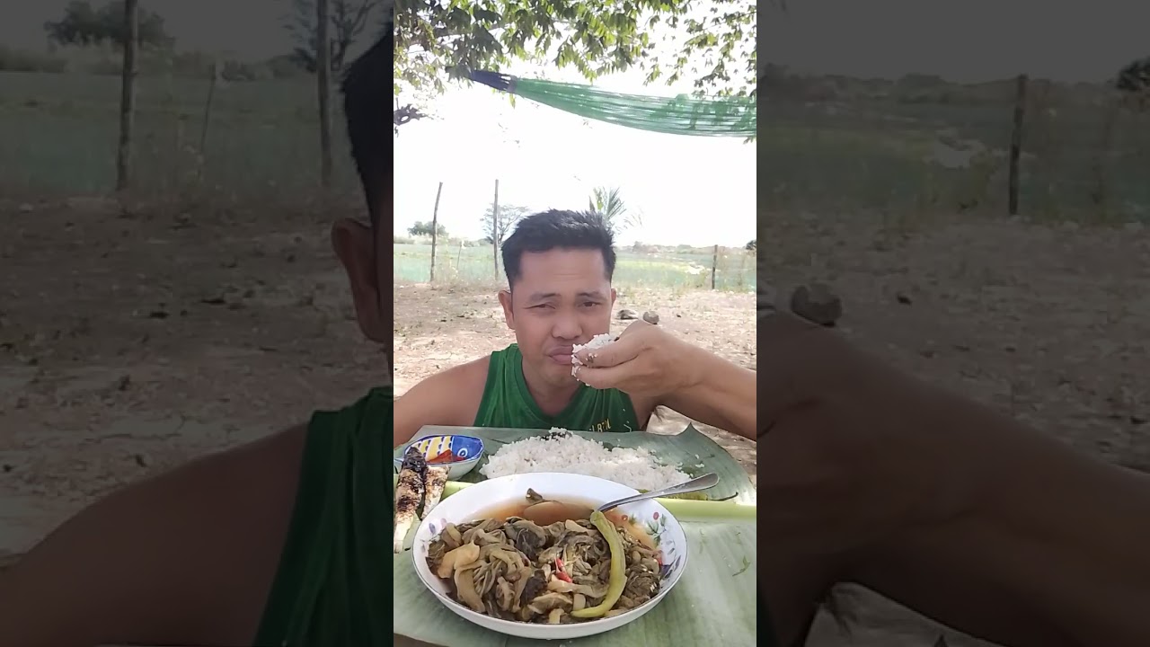 Abalong/talbos ng Gabi sa tagalog 