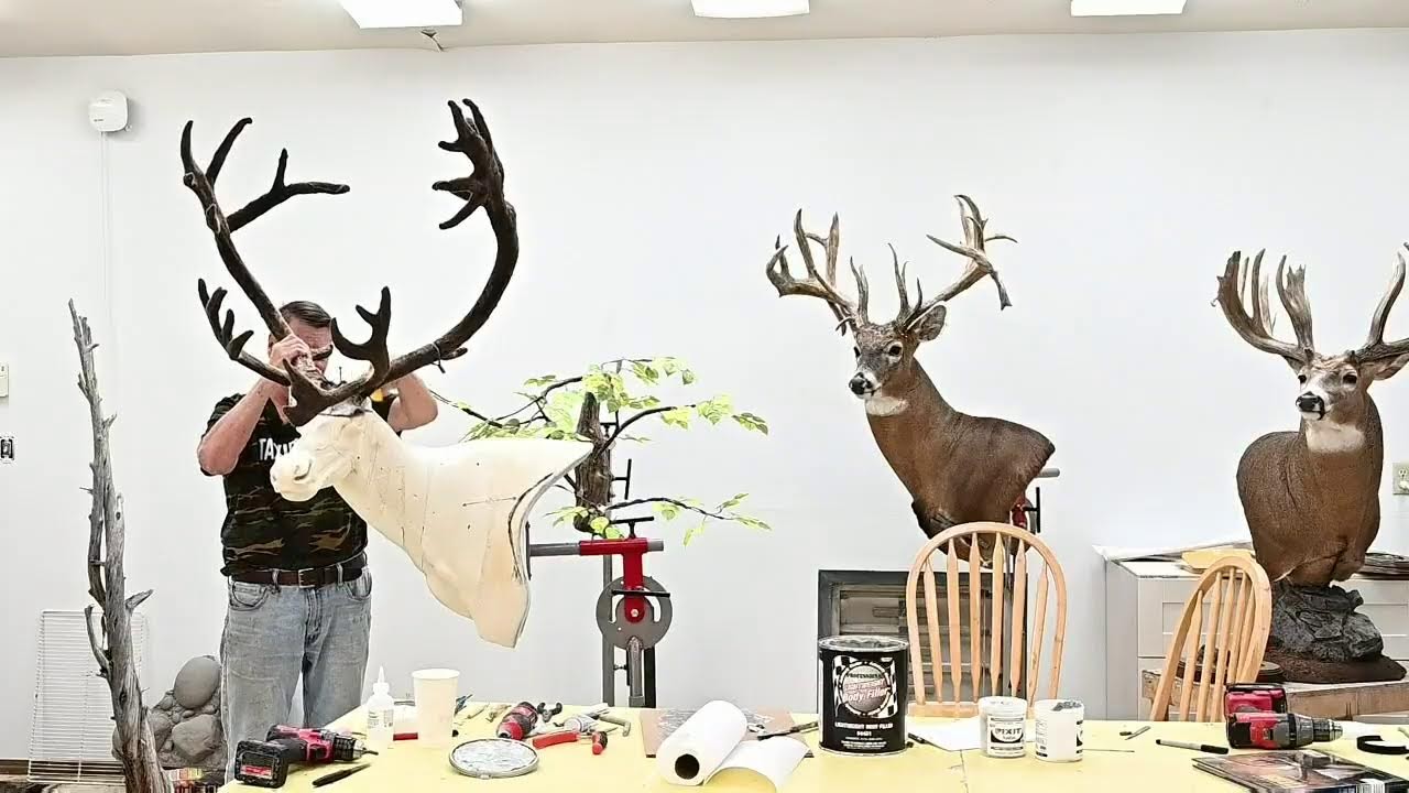 Learn Taxidermy: Part 3 - The Alaska Project