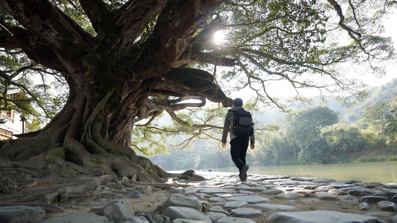 福建南靖云水谣，电影《云水谣》拍摄地，原生态的古村落令人神往