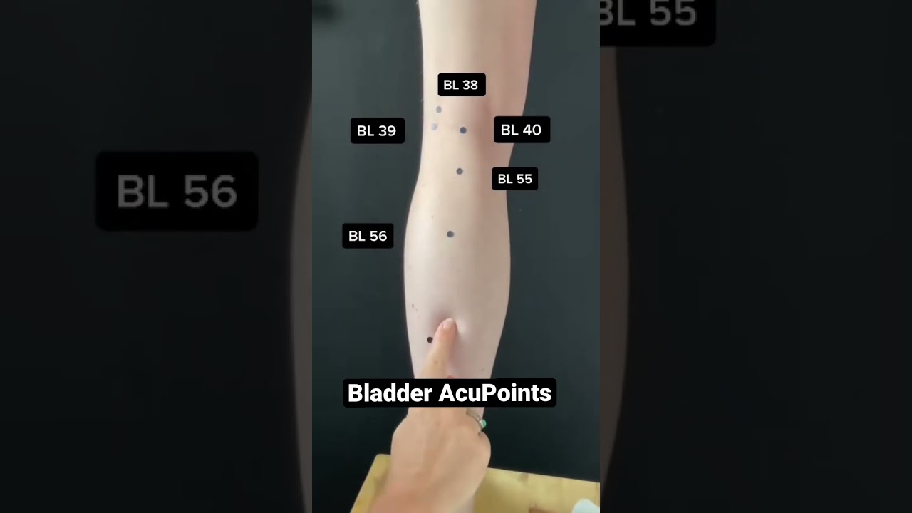 Bladder Meridian Acupuncture Points of the lower leg #acupuncturepoints