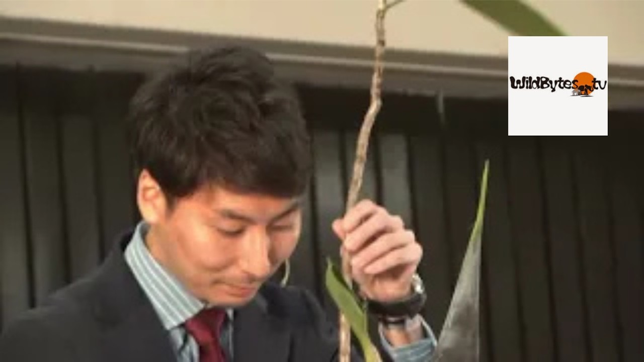 Ikebana with Hiroki Ohara Part 2