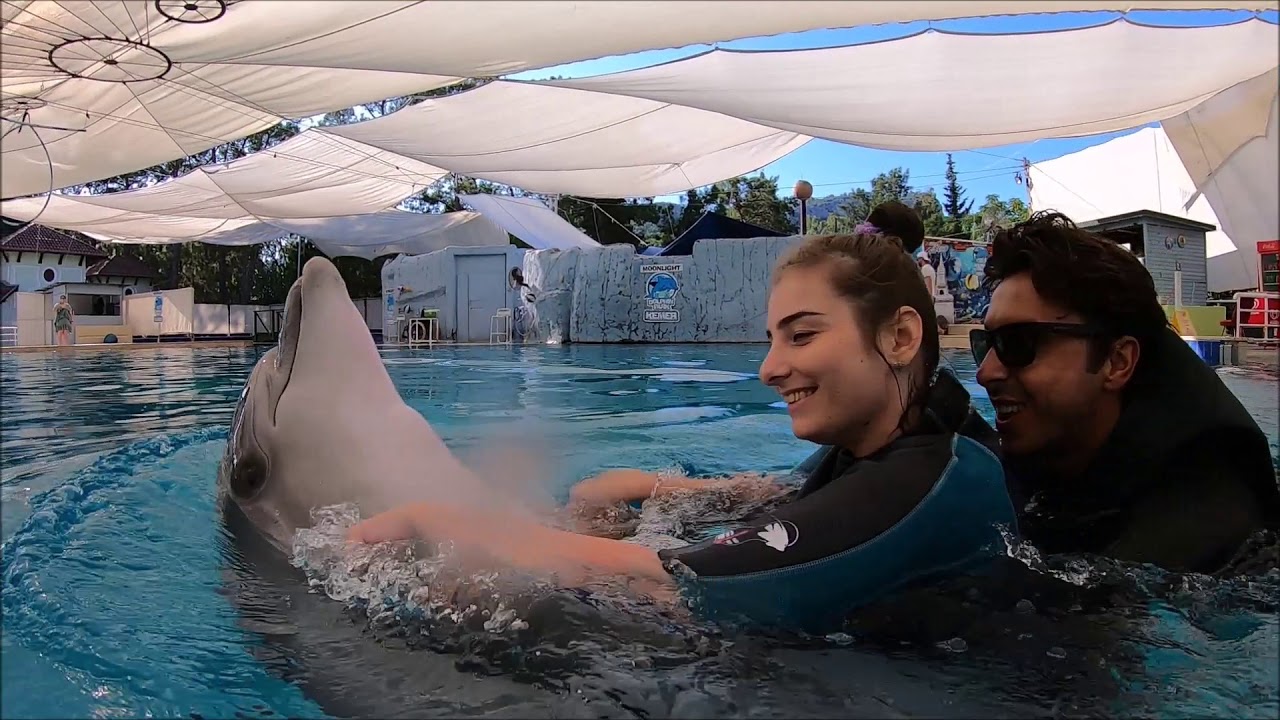 Dolphin Therapy Land Turkey ( Adriana )
