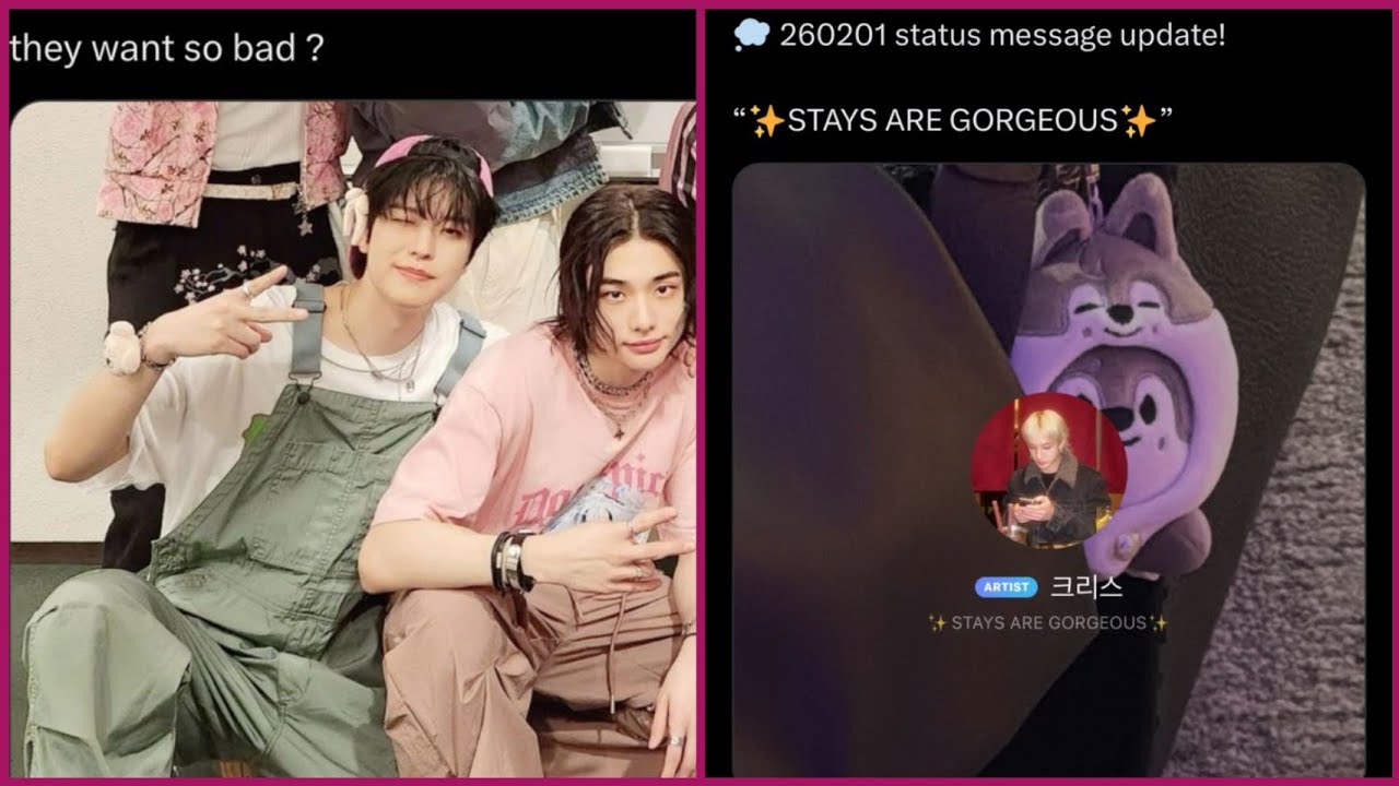 STRAY KIDS Memes only STAY's can UNDERSTAND!💜