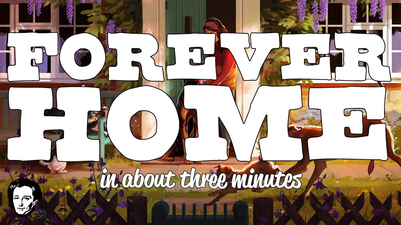 Forever home in about 3 minutes
