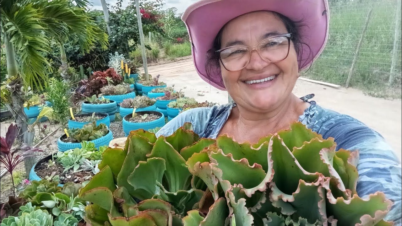 VEJAM QUE LINDO, FICOU O JARDIM.E COLOQUEI, SARRAFIA  NO CHÃO. 🤗👏🙏