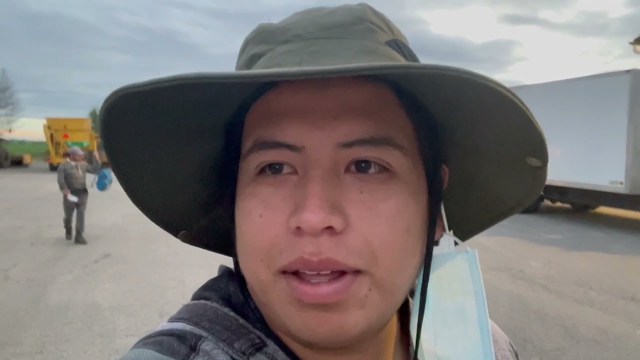 Un día de trabajo para un trabajador temporal agrícola en Canadá !🇨🇦