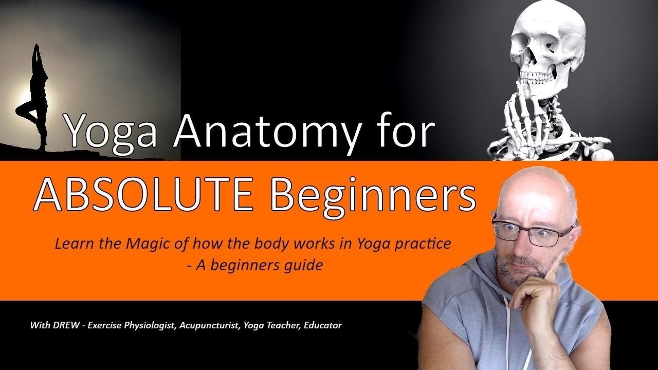 Yoga Anatomy for Absolute Beginners - learn the Magic of how the body works in Yoga Practice