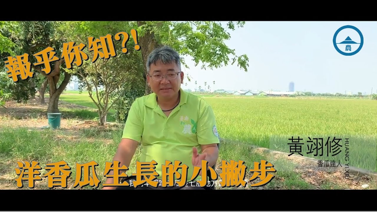 【農業知識】關於七股洋香瓜生長，你不知道的小撇步！｜三股旅歷＿農事歷