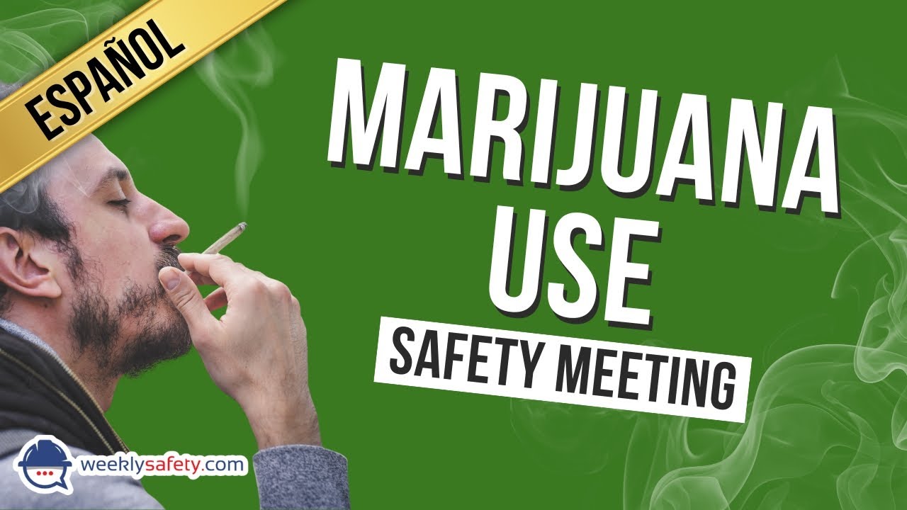 Safety Meeting on Marijuana Use in Spanish
