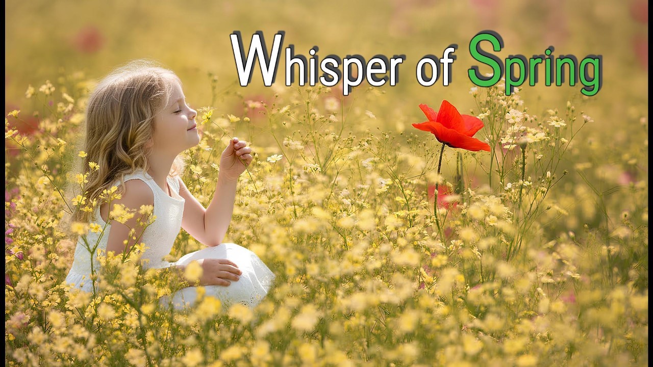 Emotional Music Album🌼 Spring Peaceful Irish Whistle Instrumental