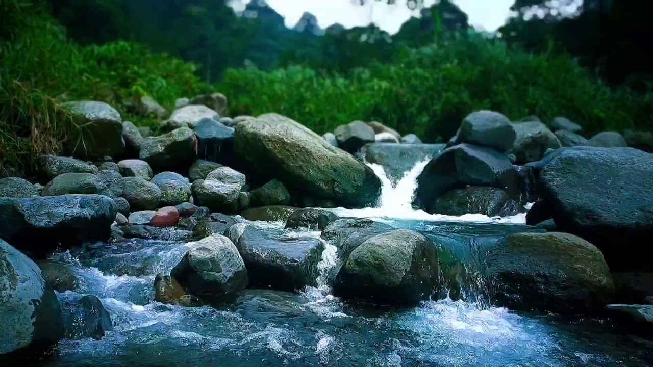 🍃 Quiet River Stream ASMR Sounds for Deep Sleep, Focus & Total Relaxation