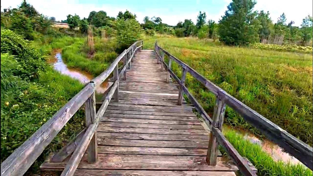 Day 10: Natchez Trace National Scenic Trail thru-hike