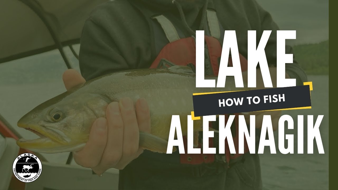 Fishing Lake Aleknagik