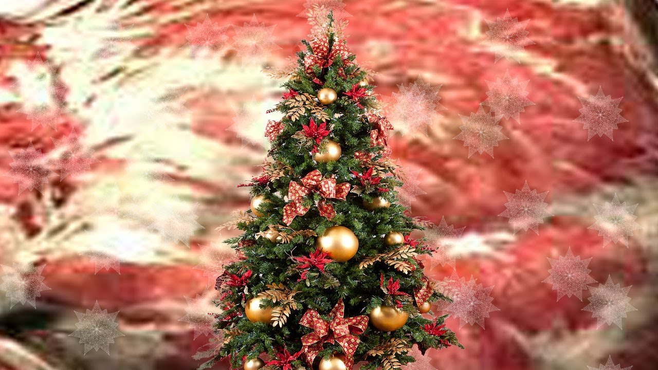 Human Organs For Chrimbus