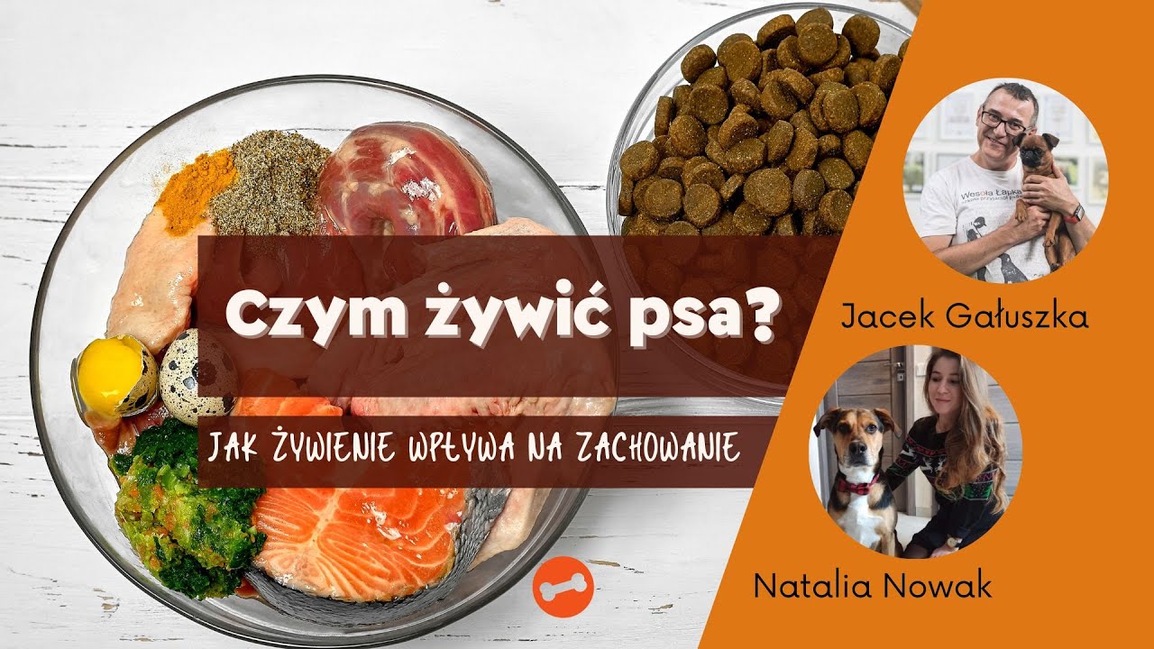 Czym żywić psa