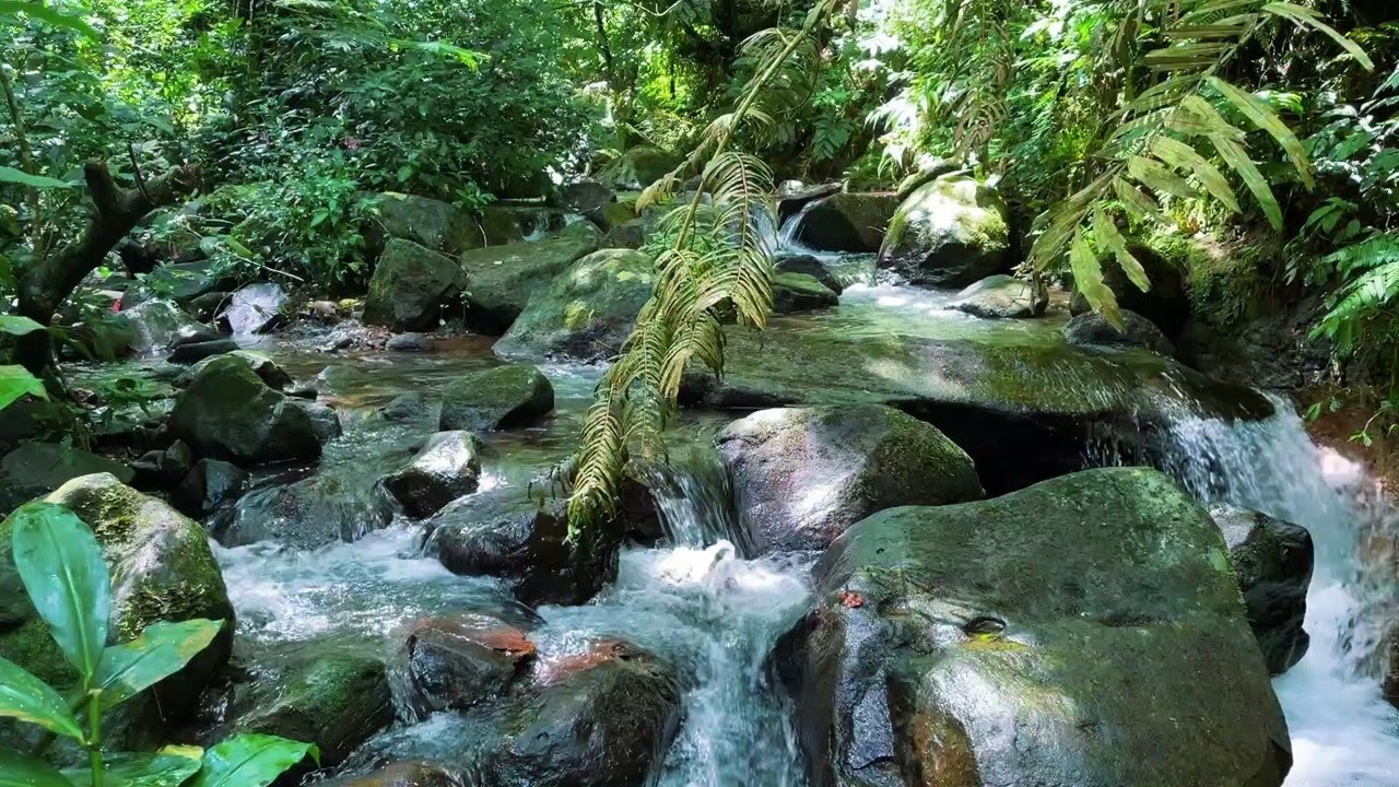 Moonlit River Waterfall – Soft Night Ambience for Relaxation and Deep Sleep
