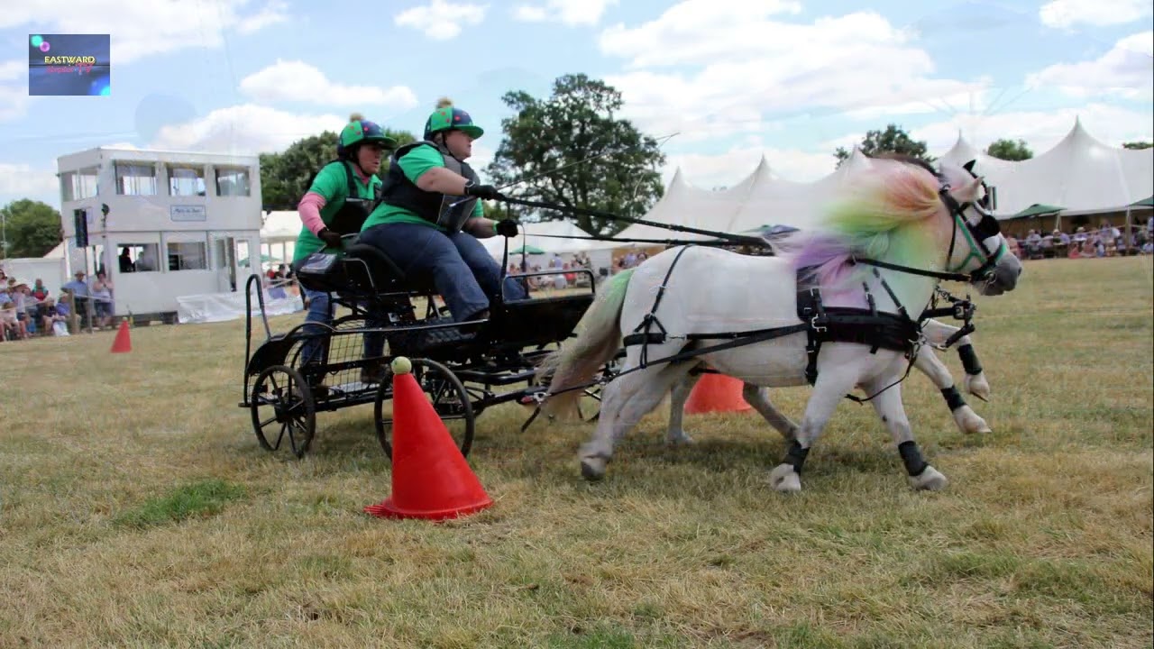 Tendring Show - 2022
