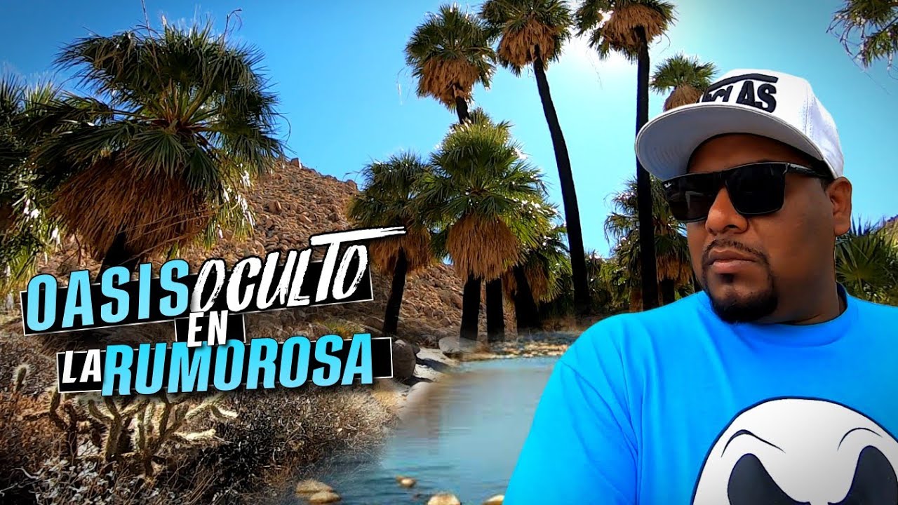 Encontramos un OASIS al fondo de LA RUMOROSA & vivimos la EXPERIENCIA de ver BORREGOS CIMARRON 🐏🤯