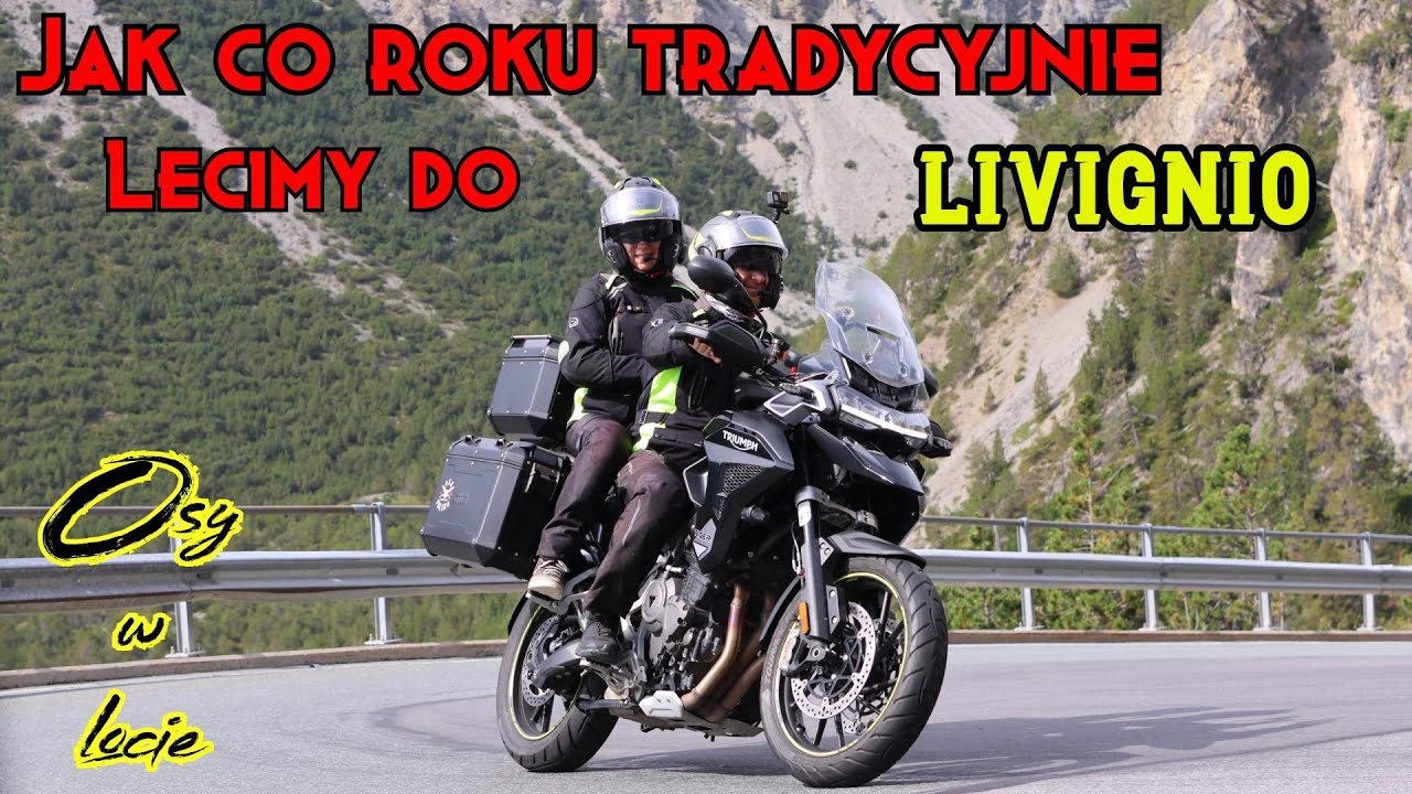 Do LIVIGNIO na zakupki - Osy w locie