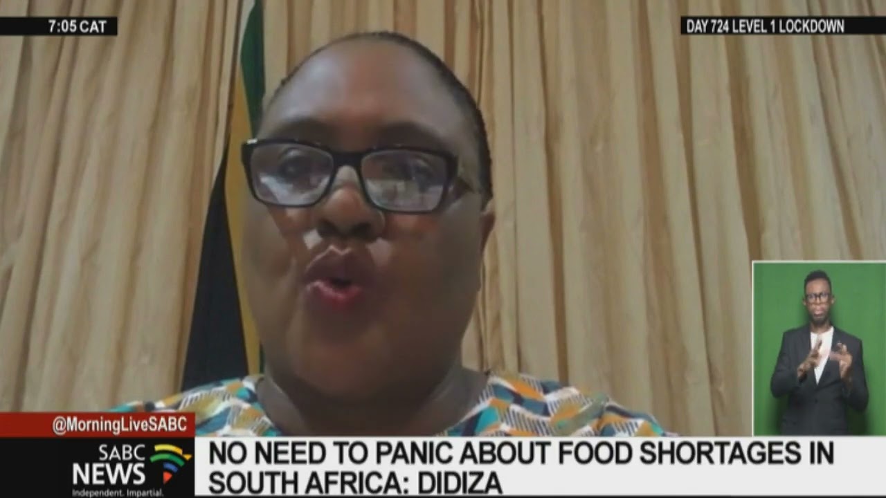 Russia-Ukraine I Agriculture minister says South Africans don't need to panic about food shortages