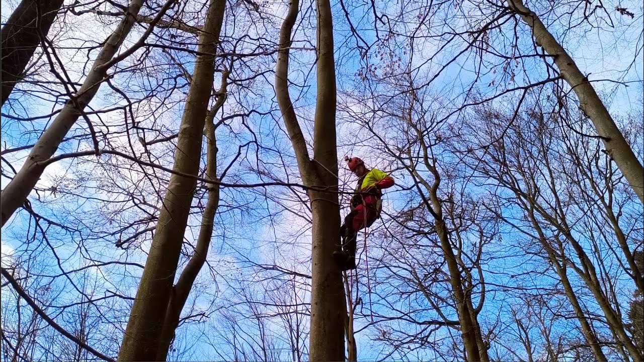 Ako bezpečne liezť na strom so stupačkami | Minimálna výbava stromolezca