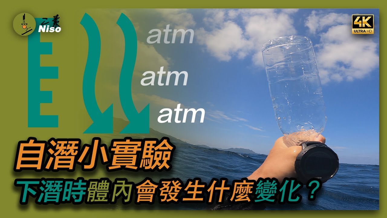【自潛小實驗 】下潛時體內會發生什麼變化？