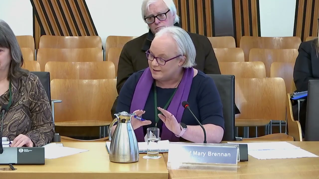 Health, Social Care and Sport Committee - 17 February 2026