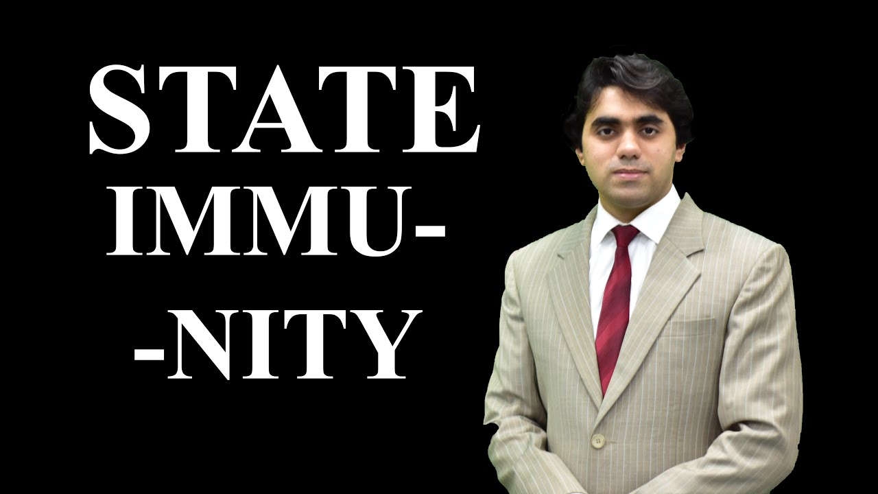 Sovereign Immunity / State Immunity- Immunity - International Law I Video Lecture by Wajdan Bukhari