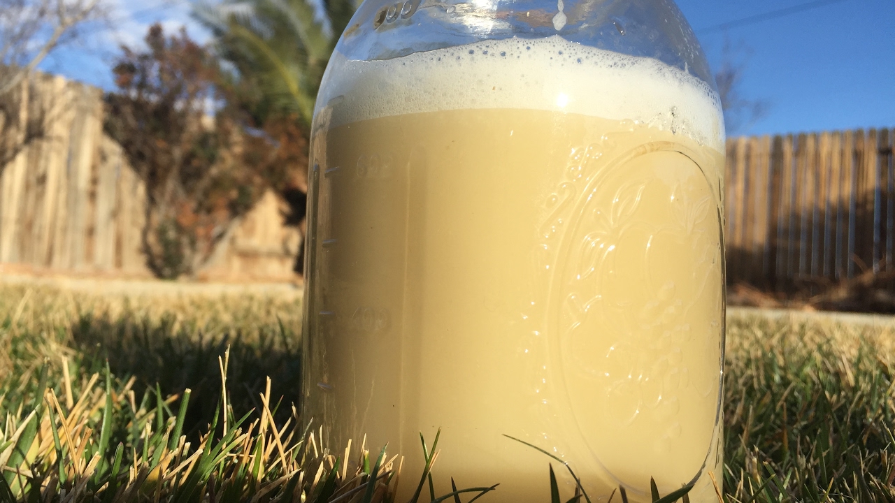 Jicama Juice is Delicious!