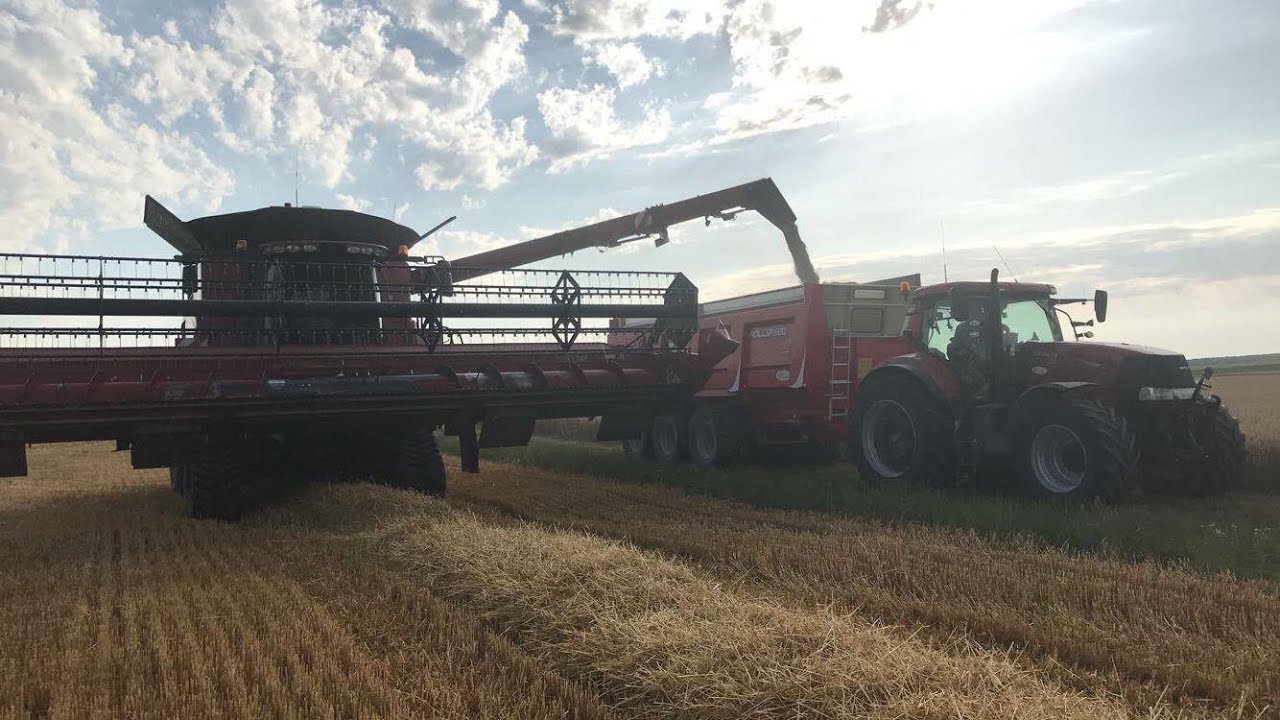 GROSSE MOISSON 2019 - AXIAL FLOW 7250 (9.15m) - CASE IH OPTUM 270 - CATROS 8m