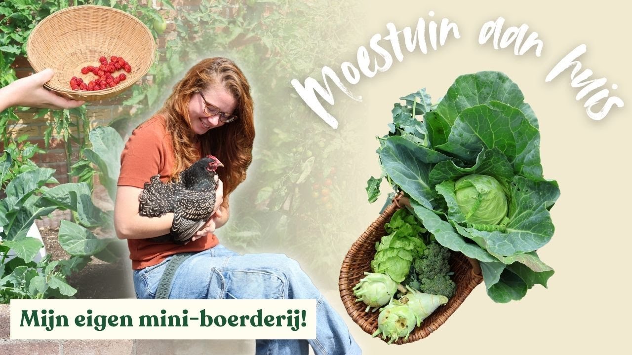 Moestuin aan huis | Het onderhouden van een kleine boerderij