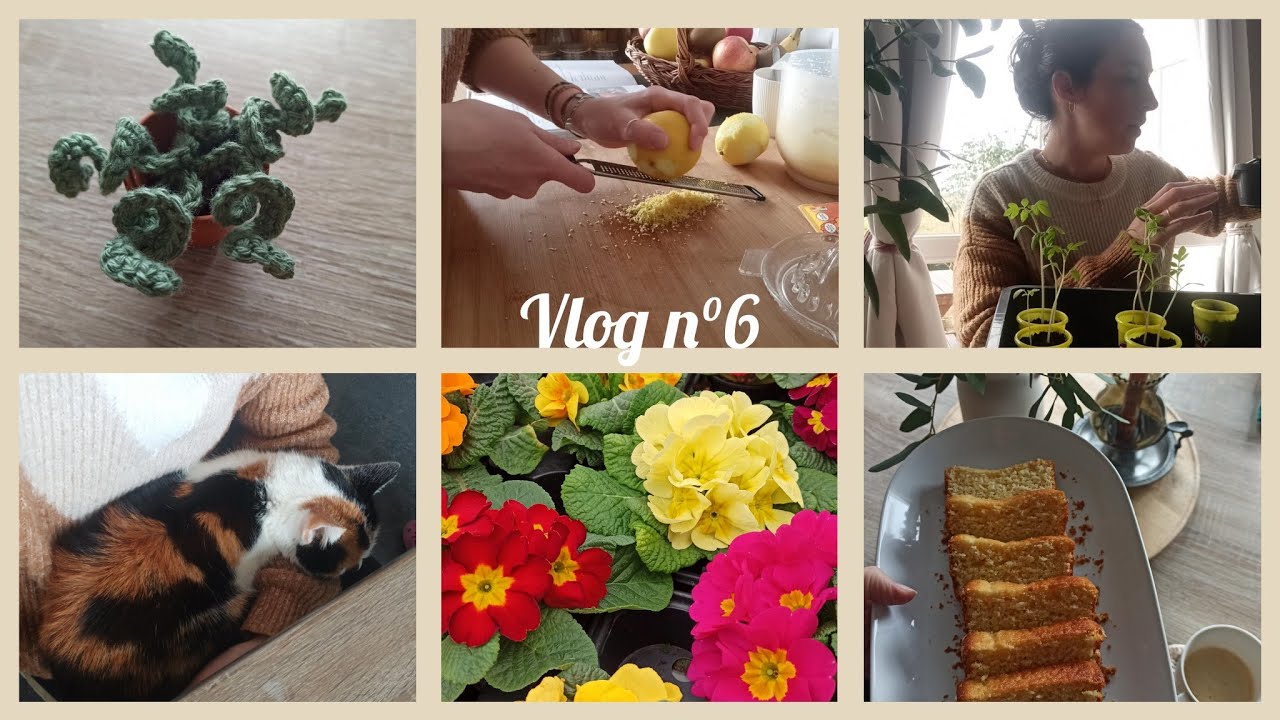 Daily vlog 🌱 Cuisine, semis et crochet - Vlog n°6