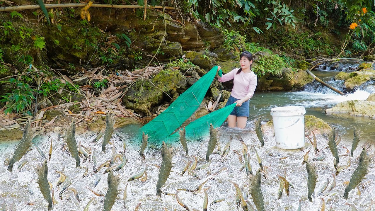 Cast The Net To Catch A Lot Of Shrimp Go To The Market Sell, Vegetable Gardening /My Bushcraft