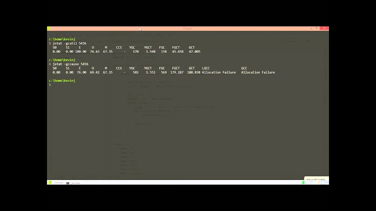 03 03 Using jstat