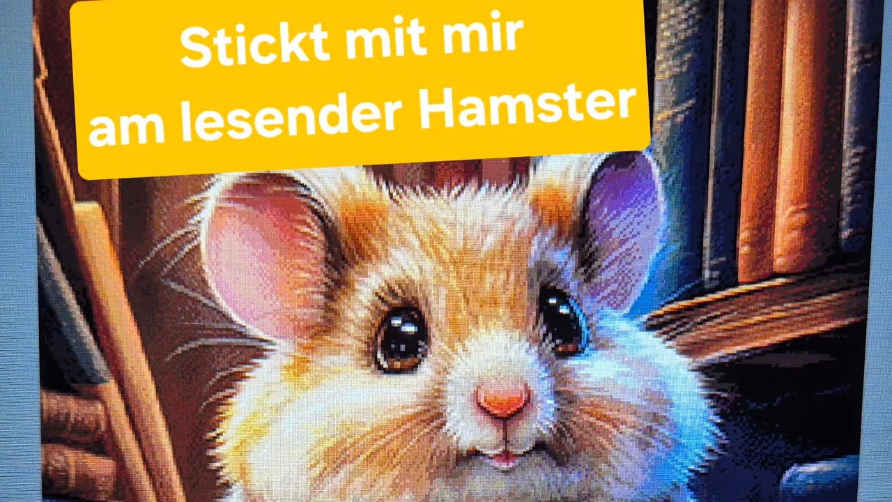 Stickt mit mir am Hamster Thema es werden momentan nicht viele Videos kommen warum ?