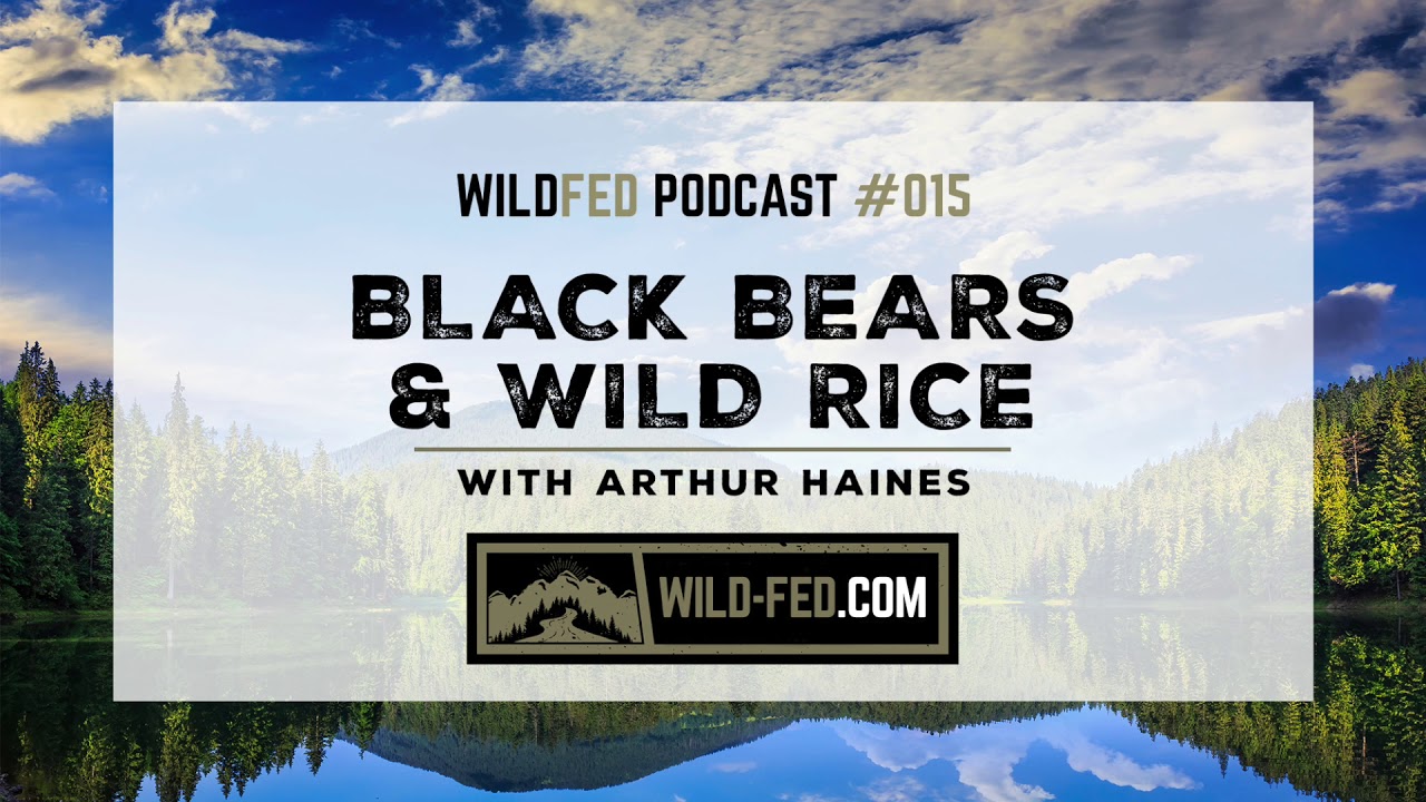 Black Bears and Wild Rice with Arthur Haines &mdash; WildFed Podcast #015