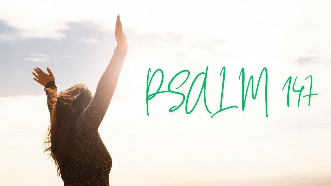 Psalm 147 | Lyric Video | Loreena Murray | Shpendi Zenki