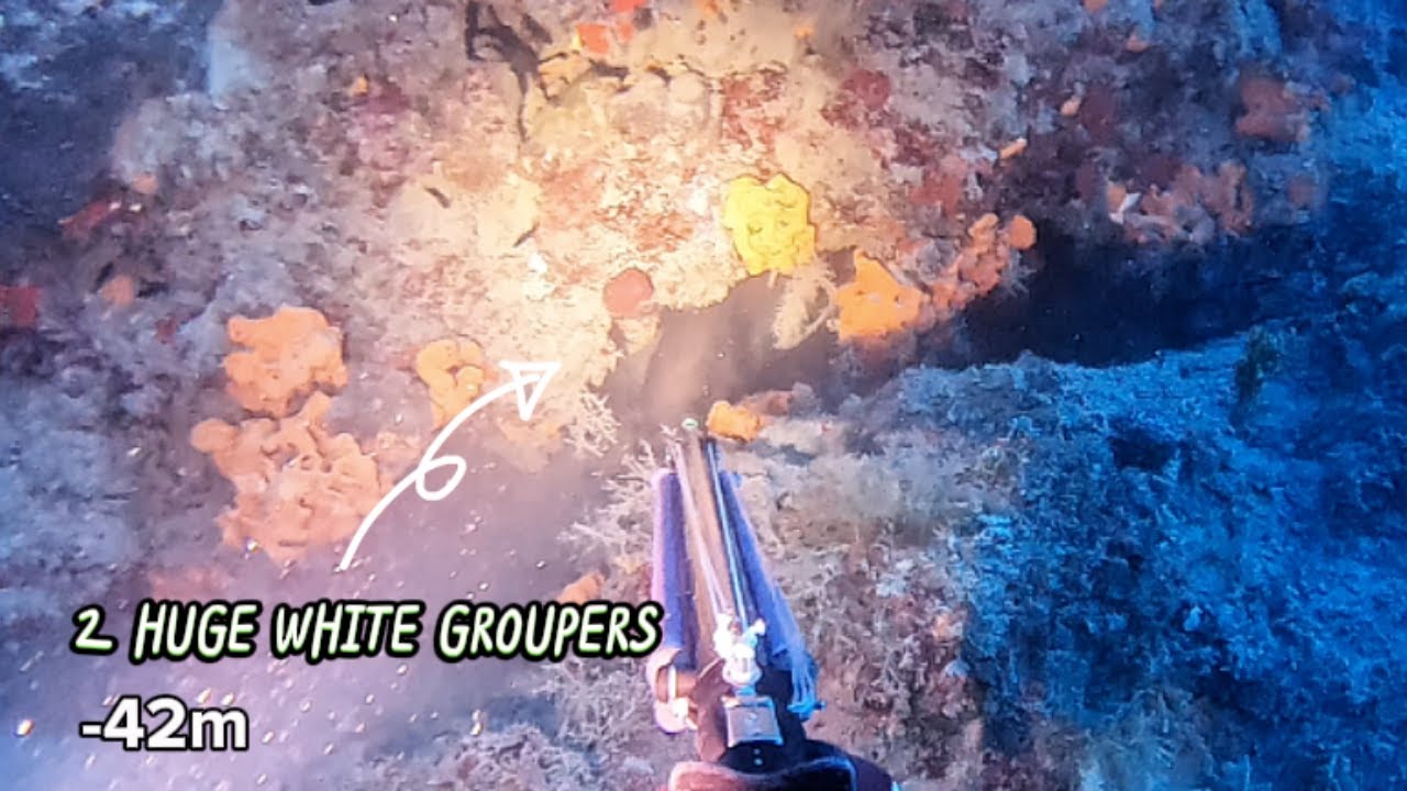 Rock with the 2 giant white groupers | Greece Spearfishing