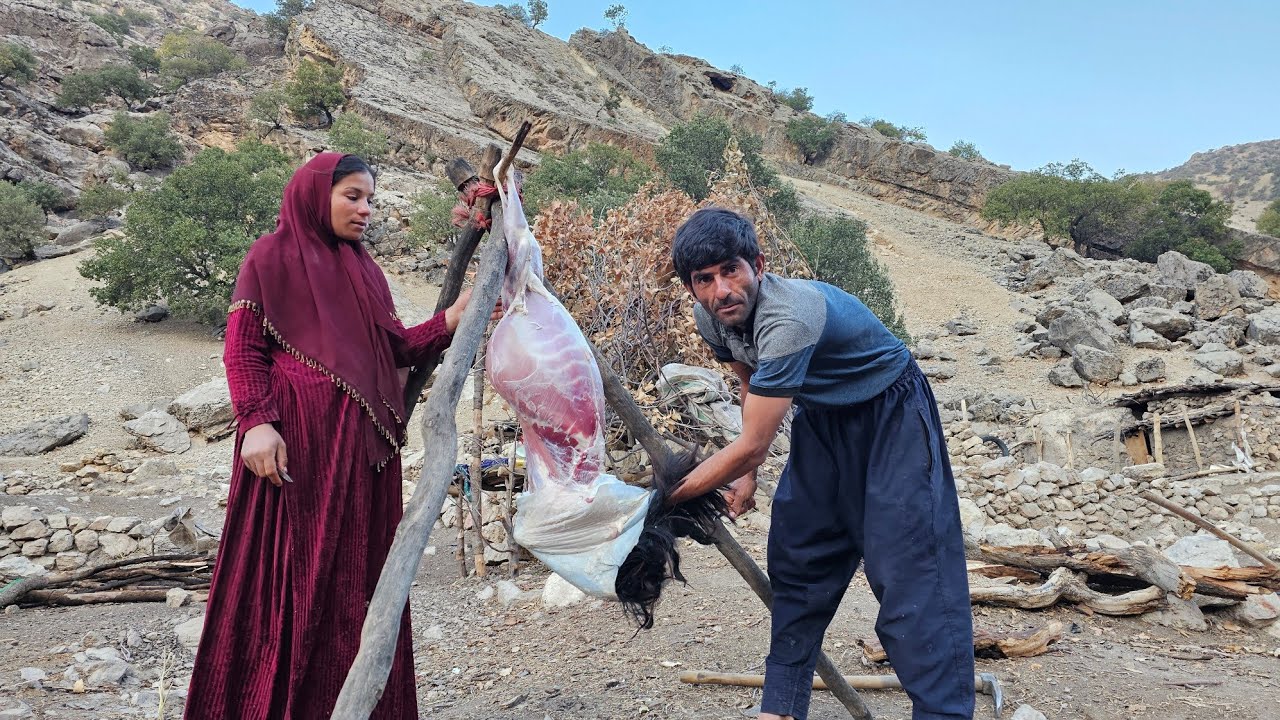 Nomads and hot bread: sheep butchery in the heart of Zagros mountains🏔️🐑