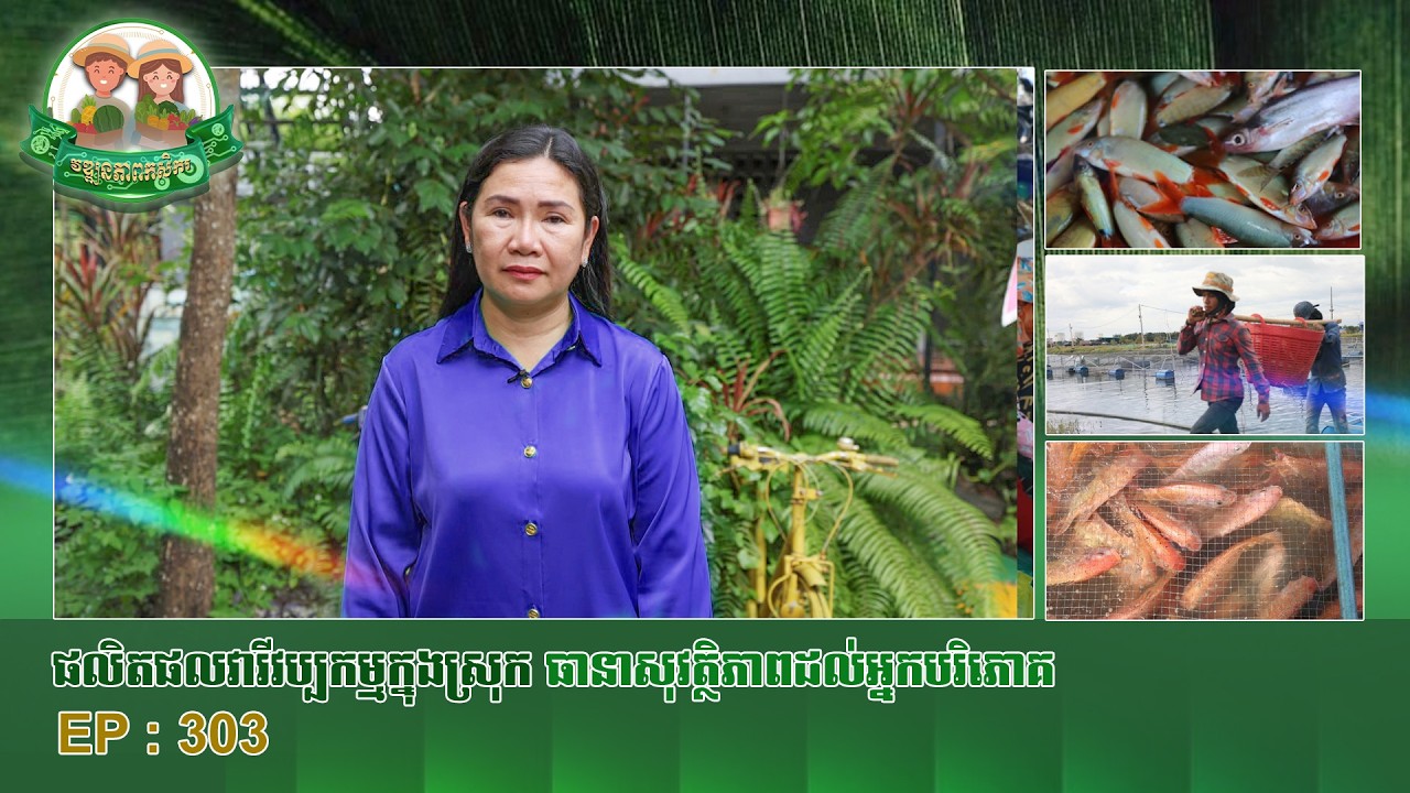 វឌ្ឍនភាពកសិករ​ ៖​​​​​​​ ផលិតផលវារីវប្បកម្មក្នុងស្រុកធានាសុវត្ថិភាពដល់អ្នកបរិភោគ
