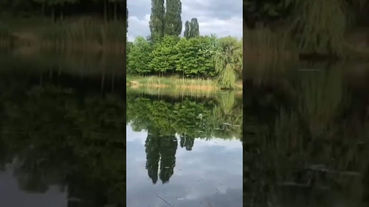 Poland surprisingly : Very beautiful lake and garden, Warsaw 