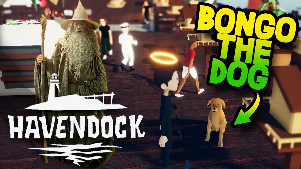 WE RESCUE GANDALF AND A DOG!  - HAVENDOCK - #2