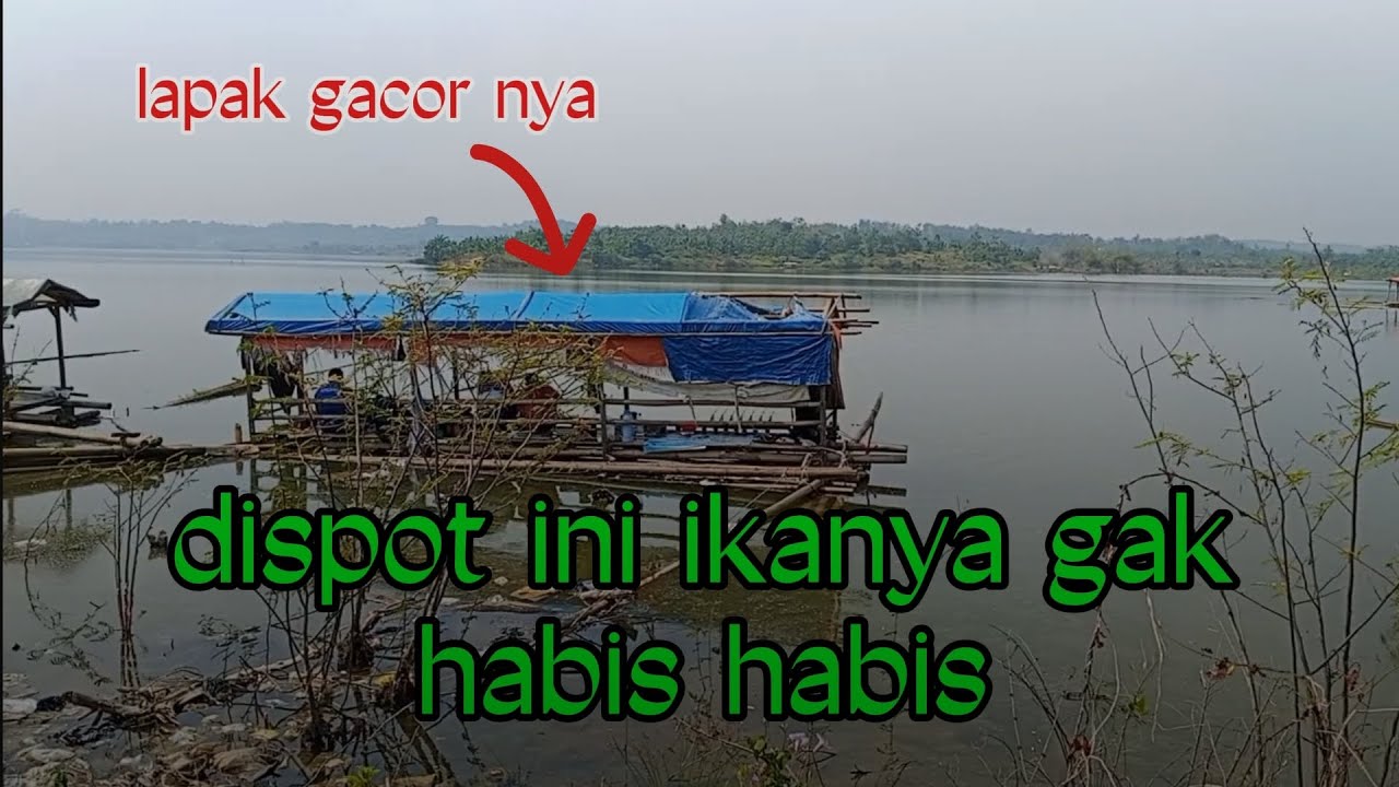 🔴Mancing Sadawarna terbaru!!! ikan dispot ini gak habis habis,spot rekomended