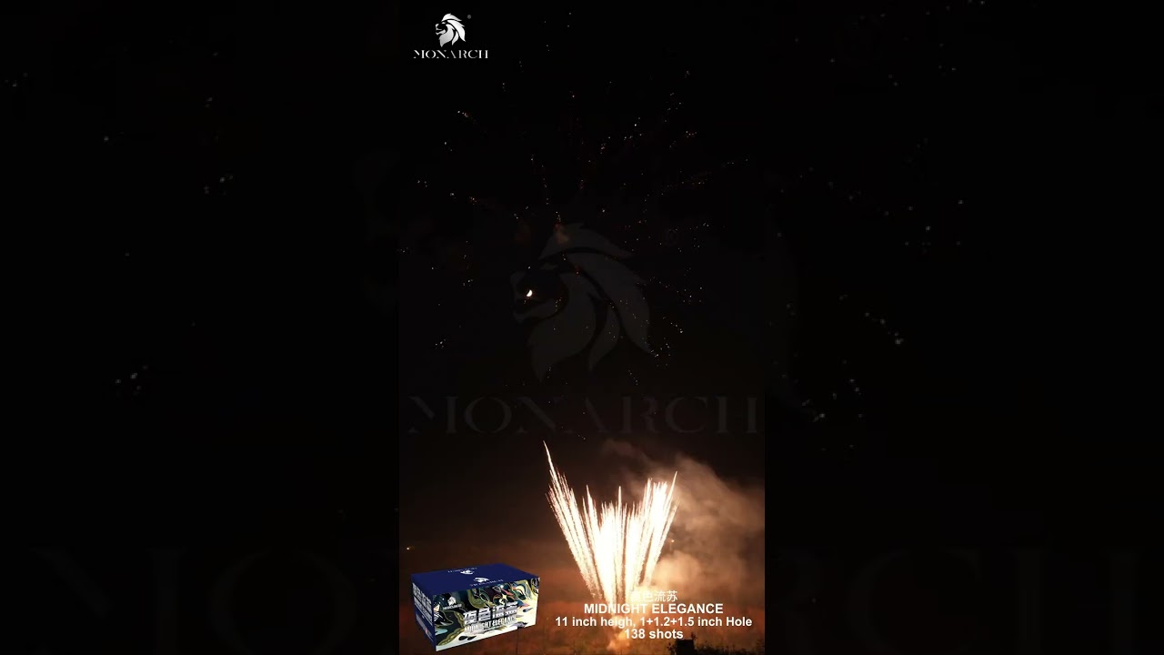 夜色流苏 | 11